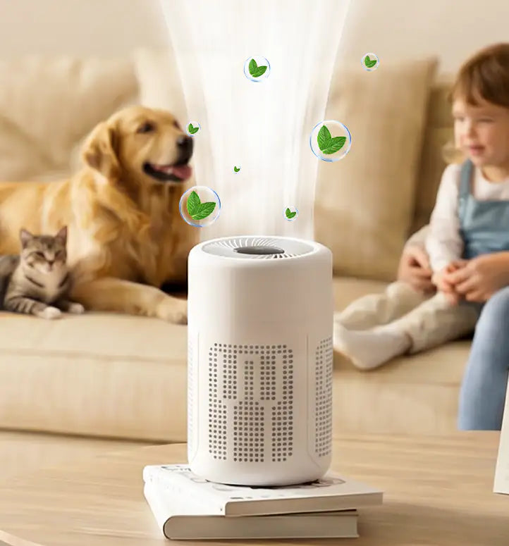NovAir - Purificatore d'aria per la casa